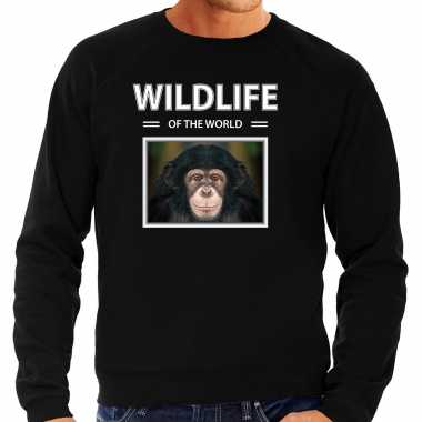 Aap sweater / trui dieren foto wildlife of the world zwart heren beeldje kopen