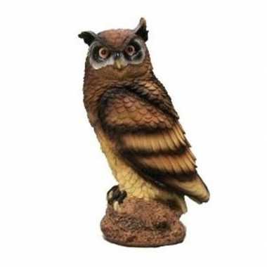 Bruine oehoe uil beeldje kopen