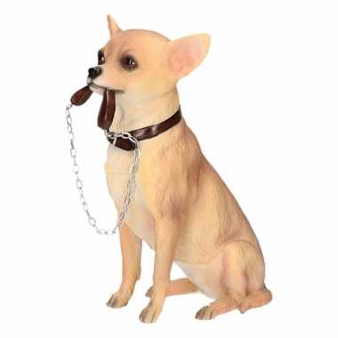 Decoratie beeld chihuahua hond beeldje kopen