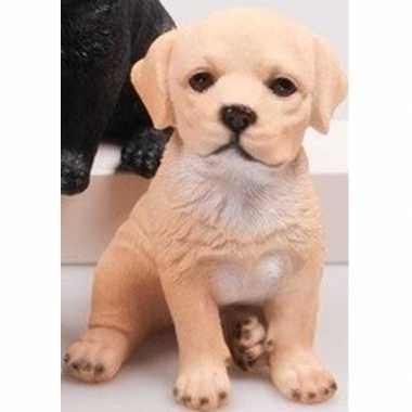 Decoratie beeld labrador puppy honden beige beeldje kopen