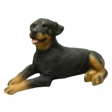 Decoratie beeld rottweiler honden beeldje kopen