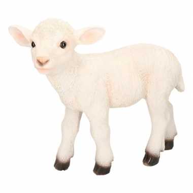 Decoratie beeld schaap/lam wit beeldje kopen