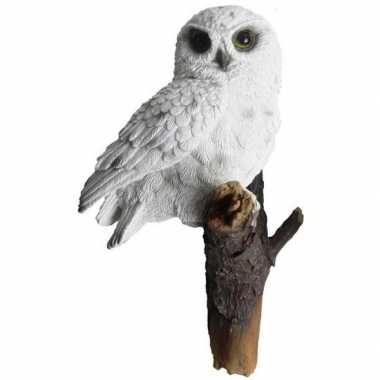 Decoratie beeld sneeuwuil beeldje kopen