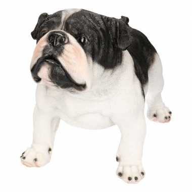 Decoratie beeld staande engelse bulldog honden zwart/wit beeldje kope