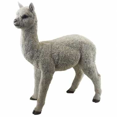 Decoratie dieren beelden alpaca/lama beeldje kopen