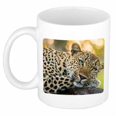 Dieren foto mok luipaard jaguars/ luipaarden beker wit ml beeldje kopen