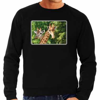 Dieren sweater / trui giraffen foto zwart heren beeldje kopen