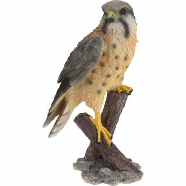 Dierenbeeld torenvalk vogel woondecoratie beeldje kopen