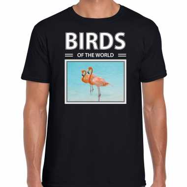 Flamingos t shirt dieren foto birds of the world zwart heren beeldje kopen