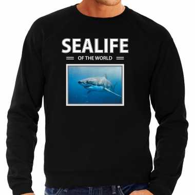Haai sweater / trui dieren foto sealife of the world zwart heren beeldje kopen