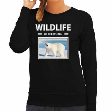 Ijsbeer sweater / trui dieren foto wildlife of the world zwart dames beeldje kopen