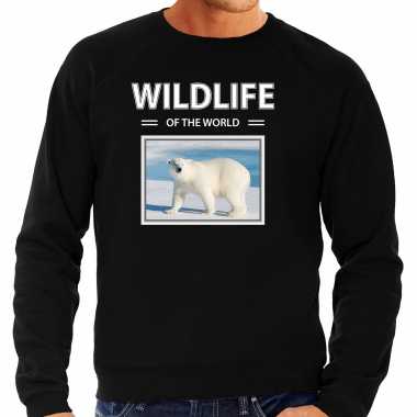 Ijsbeer sweater / trui dieren foto wildlife of the world zwart heren beeldje kopen