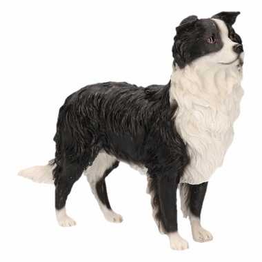 Kleine beeldje Border Collie kopen