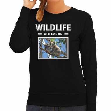 Koala sweater / trui dieren foto wildlife of the world zwart dames beeldje kopen