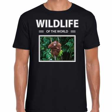 Orang oetan aap t shirt dieren foto wildlife of the world zwart heren beeldje kopen