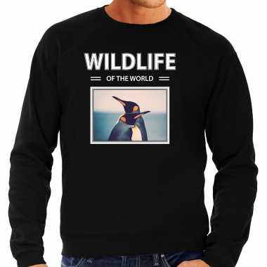Pinguin sweater / trui dieren foto wildlife of the world zwart heren beeldje kopen