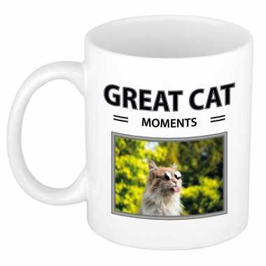 Rode katten mok dieren foto great cat moments beeldje kopen