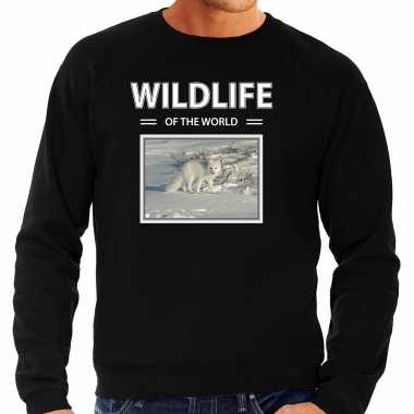 Sneeuwvos sweater / trui dieren foto wildlife of the world zwart heren beeldje kopen
