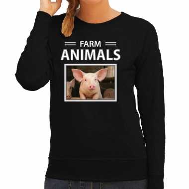 Varkens sweater / trui dieren foto farm animals zwart dames beeldje kopen