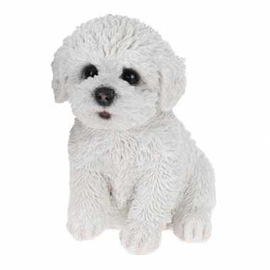 Wit maltezer hond beeldje kopen