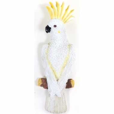 Witte decoratie kaketoes dierenbeelden/tuinbeelden beeldje kopen