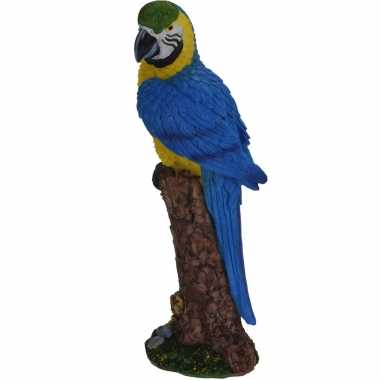 Woonaccessoires blauwe ara papegaaien beeld beeldje kopen