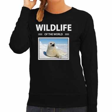 Zeehond sweater / trui dieren foto wildlife of the world zwart dames beeldje kopen