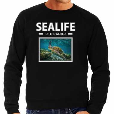 Zeeschildpad sweater / trui dieren foto sealife of the world zwart heren beeldje kopen