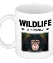 Aap chimpansee mok dieren foto wildlife of the world beeldje kopen