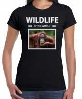 Aap orang oetan t shirt dieren foto wildlife of the world zwart dames beeldje kopen