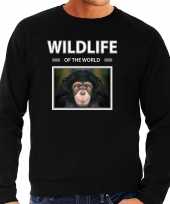 Aap sweater trui dieren foto wildlife of the world zwart heren beeldje kopen 10265003