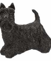 Beeldje schotse terrier kopen
