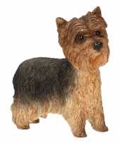 Beeldje yorkshire terrier kopen