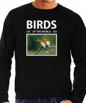 Bijeneter vogels sweater trui dieren foto birds of the world zwart heren beeldje kopen