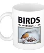 Boomklever vogels mok dieren foto birds of the world beeldje kopen