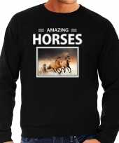Bruine paarden sweater trui dieren foto amazing horses zwart heren beeldje kopen