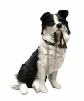 Decoratie beeld border collie honden beeldje kopen