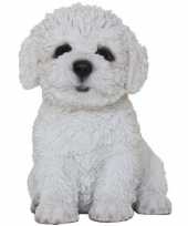 Decoratie beeld hondje bichon frise beeldje kopen