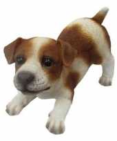 Decoratie beeld jack russel puppy honden bruin wit beeldje kopen