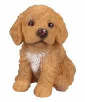 Decoratie beeld labradoodle puppy honden bruin beeldje kopen