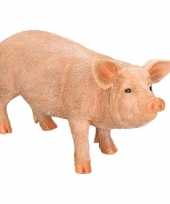Decoratie beeld varkens biggen beeldje kopen 10112469