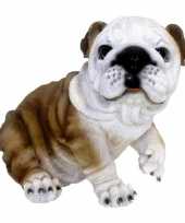 Decoratie beeld zitende bulldog hond beeldje kopen