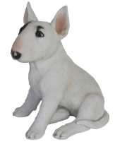 Decoratie dieren honden beeldjes bull terrier kopen