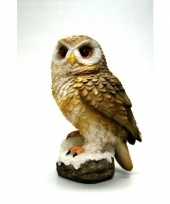 Decoratie dieren vogel beeldjes bosuil kopen