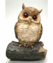 Decoratie dieren vogel beeldjes uil om te hangen kopen