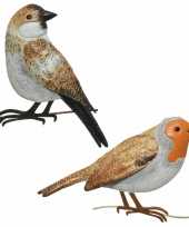 Decoratie vogels muurvogels roodborstje huismus tuin beeldje kopen