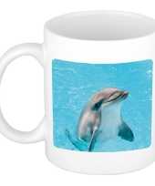 Dieren foto mok dolfijn dolfijnen beker wit ml beeldje kopen