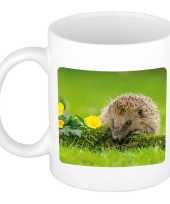 Dieren foto mok egel egels beker wit ml beeldje kopen