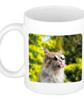Dieren foto mok gekke poes katten beker wit ml beeldje kopen