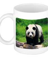 Dieren foto mok grote panda pandaberen beker wit ml beeldje kopen